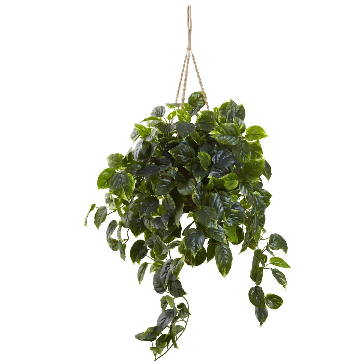 Pothos Hanging Basket UV Resistant (Indoor/Outdoor)-Parc Decor