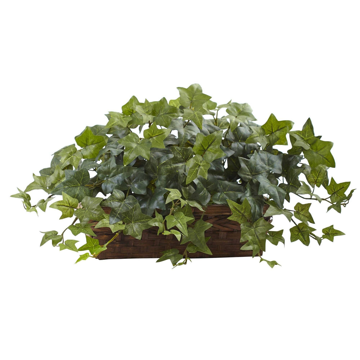 Puff Ivy w/Ledge Basket-Parc Decor