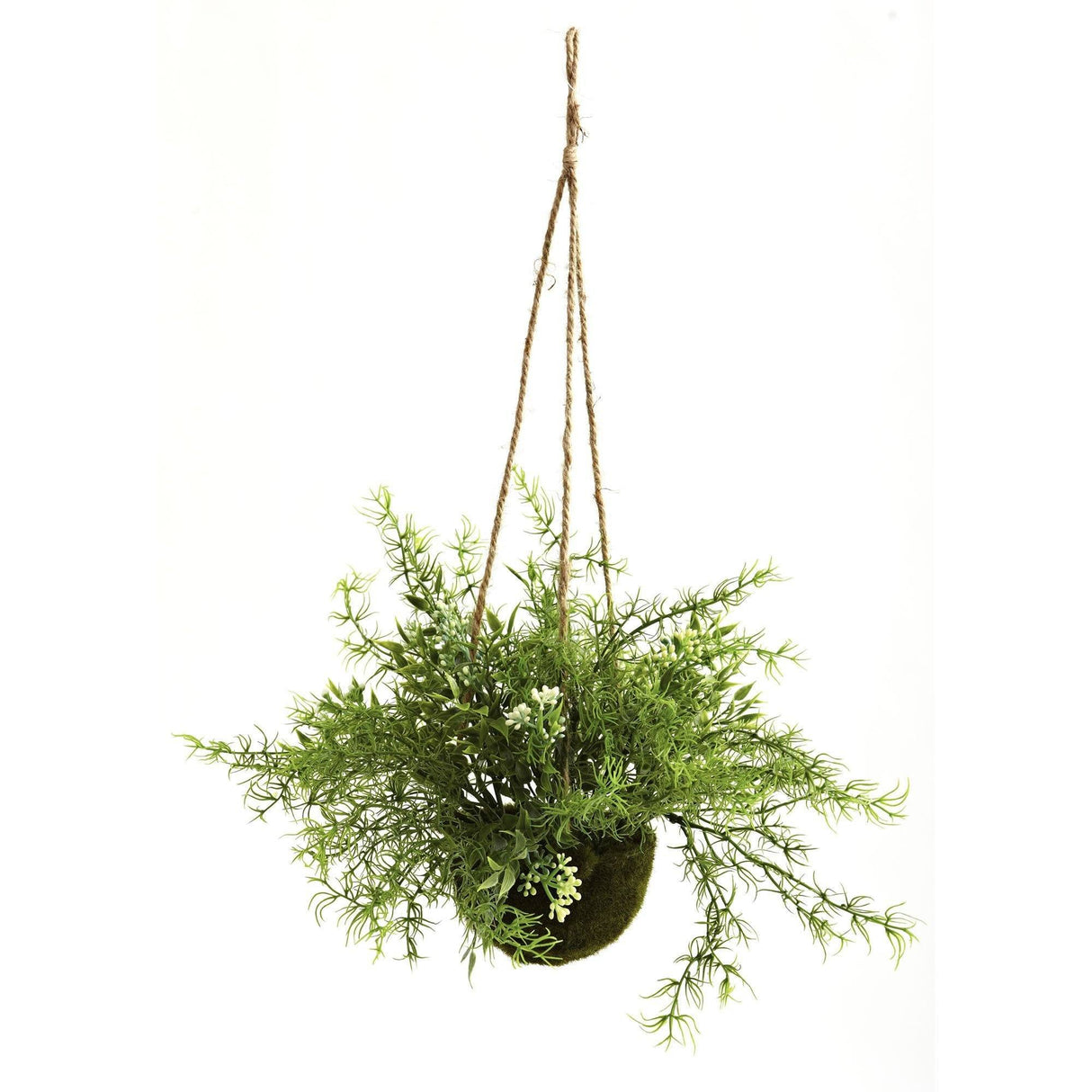 Ruscus, Sedum & Springeri Hanging Basket (Set of 3)-Parc Decor