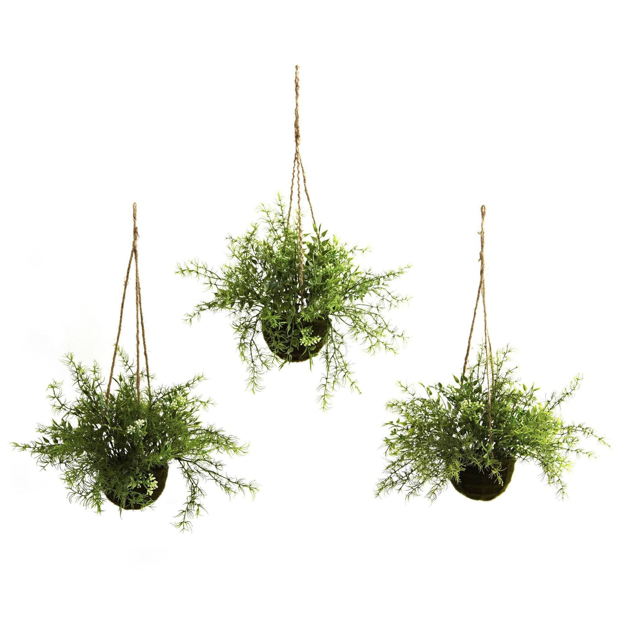 Ruscus, Sedum & Springeri Hanging Basket (Set of 3)-Parc Decor
