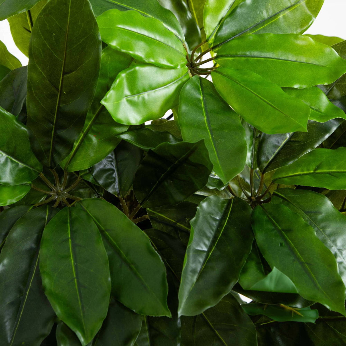 Schefflera Artificial Tree UV Resistant (Indoor/Outdoor)-Parc Decor