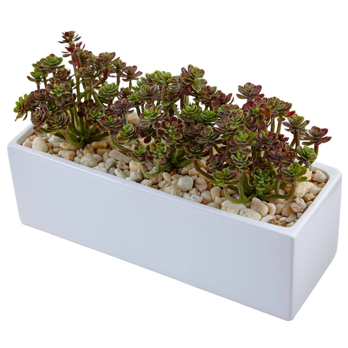 Sedum in Rectangular Planter-Parc Decor