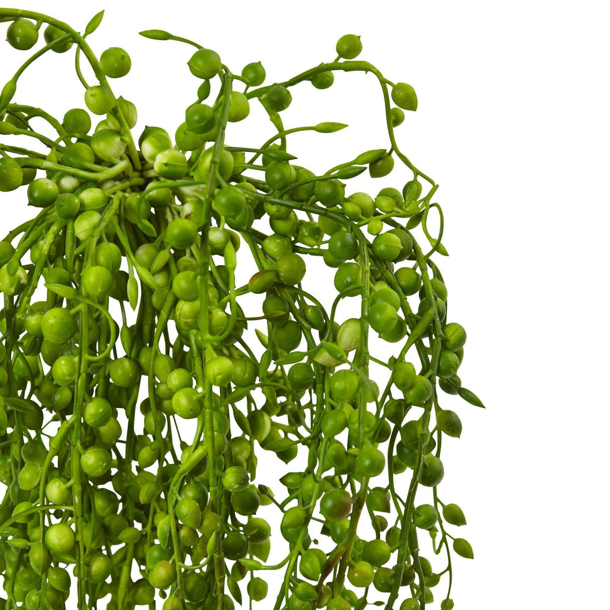 Senecio Artificial Succulent (Set of 3)-Parc Decor