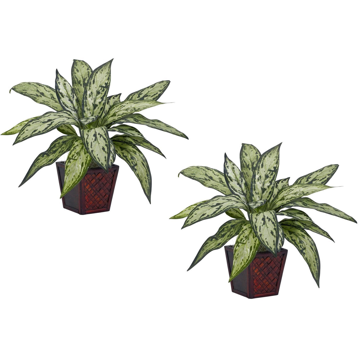 Silver Queen Silk Plant (Set of 2)-Parc Decor