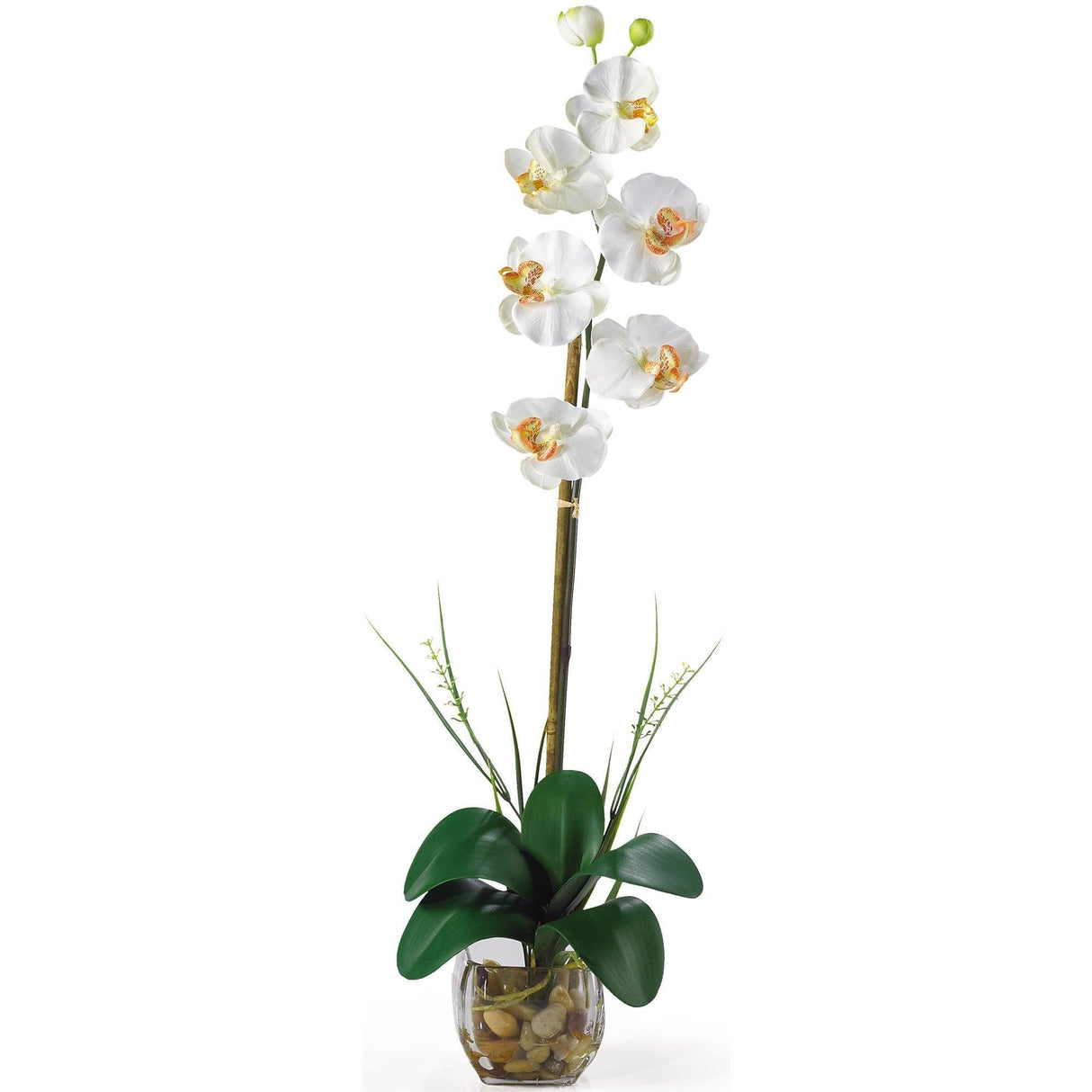 Single Phalaenopsis Liquid Illusion Silk Flower Arrangement-Parc Decor