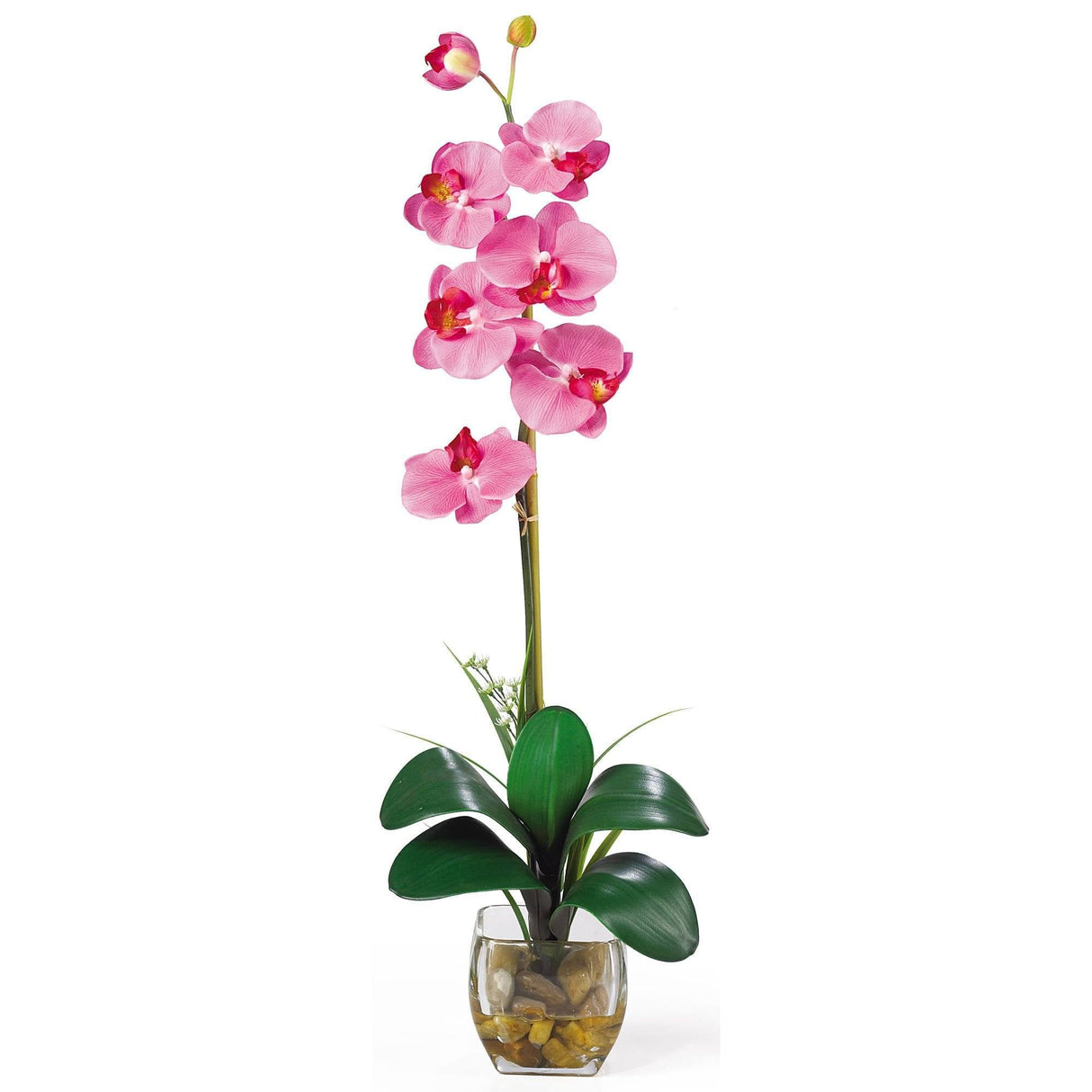 Single Phalaenopsis Liquid Illusion Silk Flower Arrangement-Parc Decor