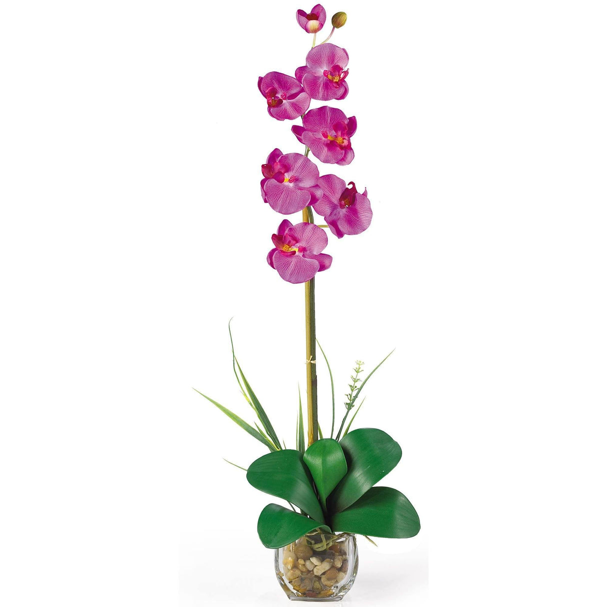 Single Phalaenopsis Liquid Illusion Silk Flower Arrangement-Parc Decor