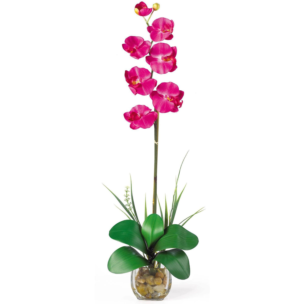 Single Phalaenopsis Liquid Illusion Silk Flower Arrangement-Parc Decor