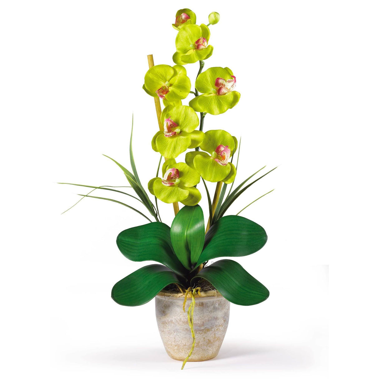 Single Stem Phalaenopsis Silk Orchid Arrangement-Parc Decor