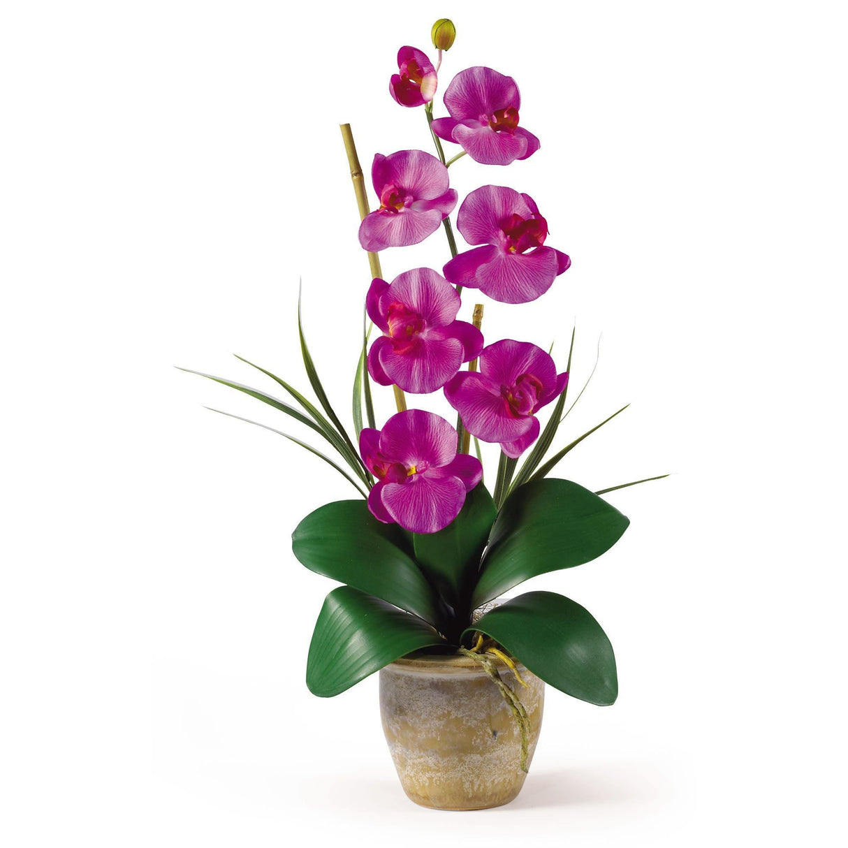 Single Stem Phalaenopsis Silk Orchid Arrangement-Parc Decor