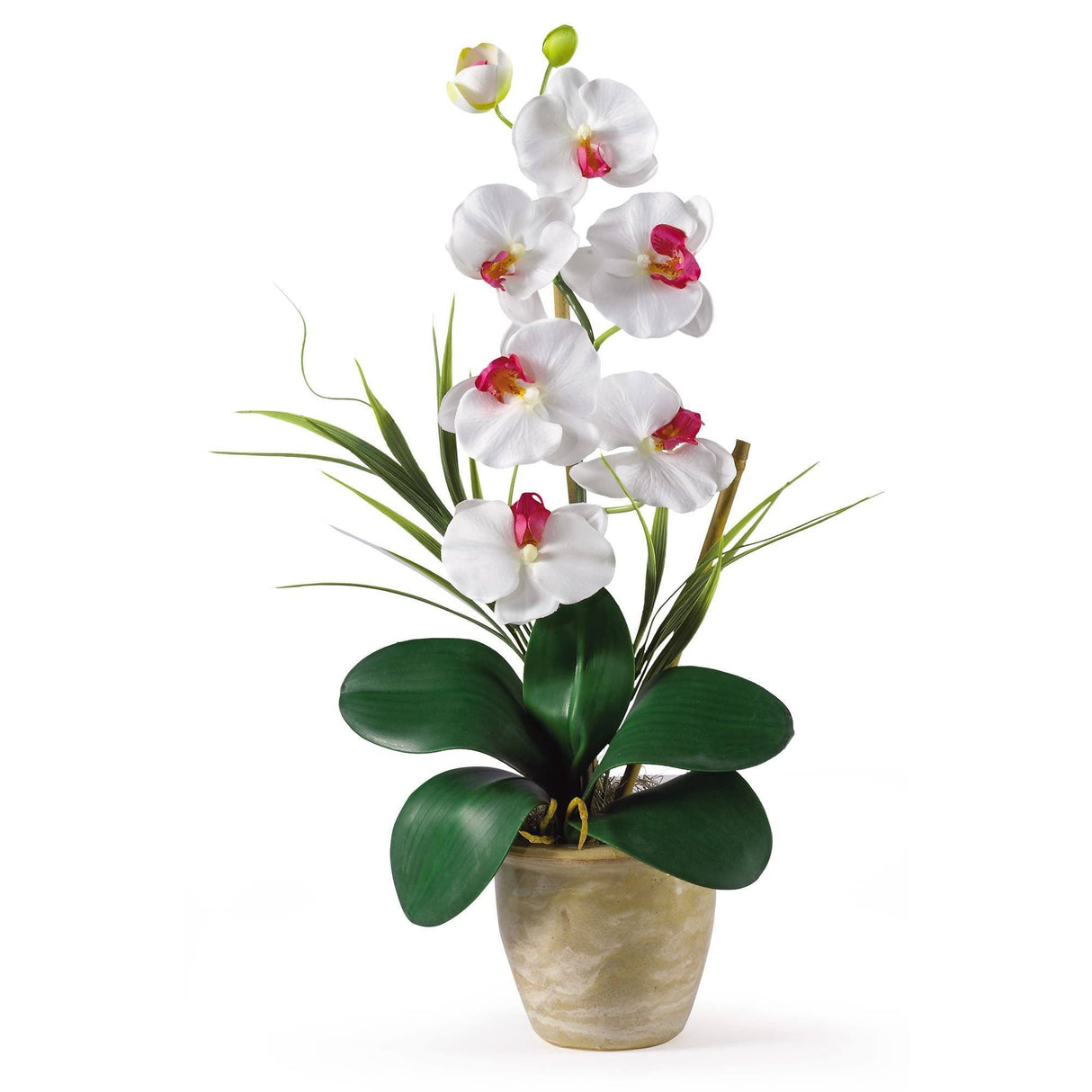 Single Stem Phalaenopsis Silk Orchid Arrangement-Parc Decor
