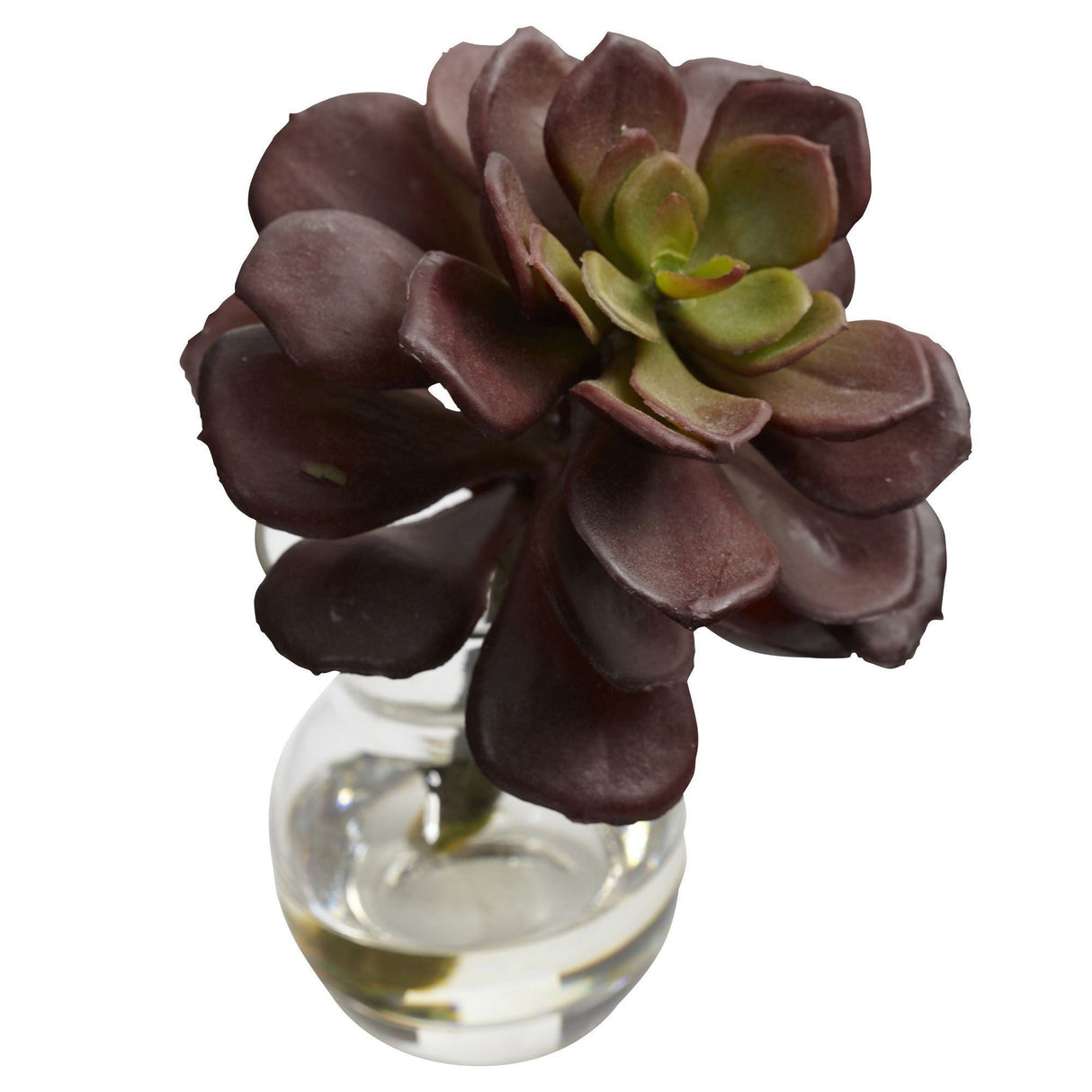 Succulent Arrangements (Set of 3)-Parc Decor