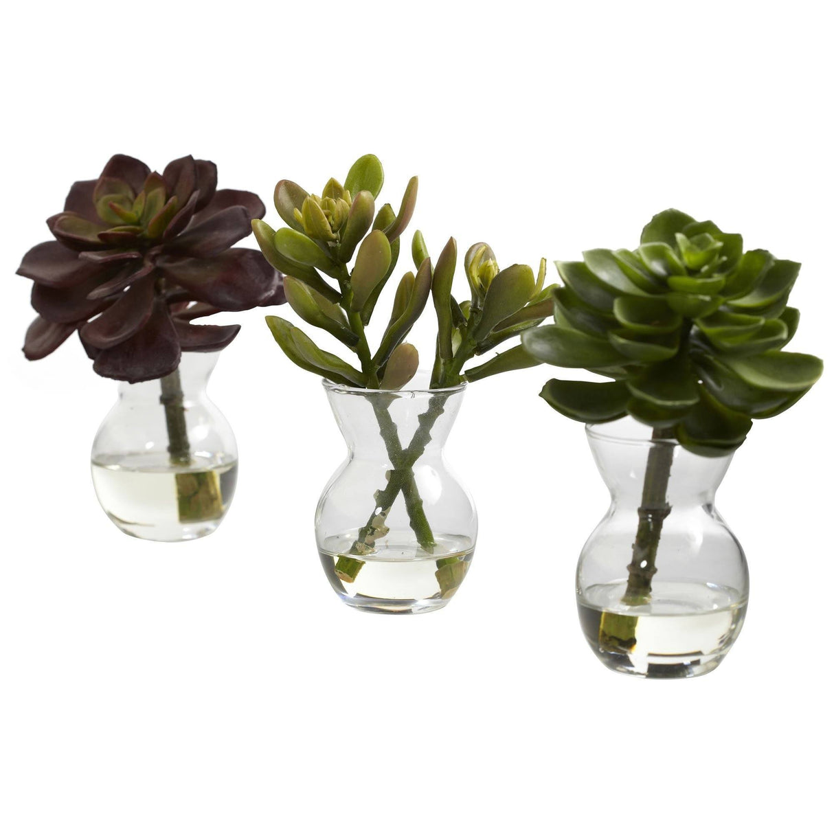Succulent Arrangements (Set of 3)-Parc Decor