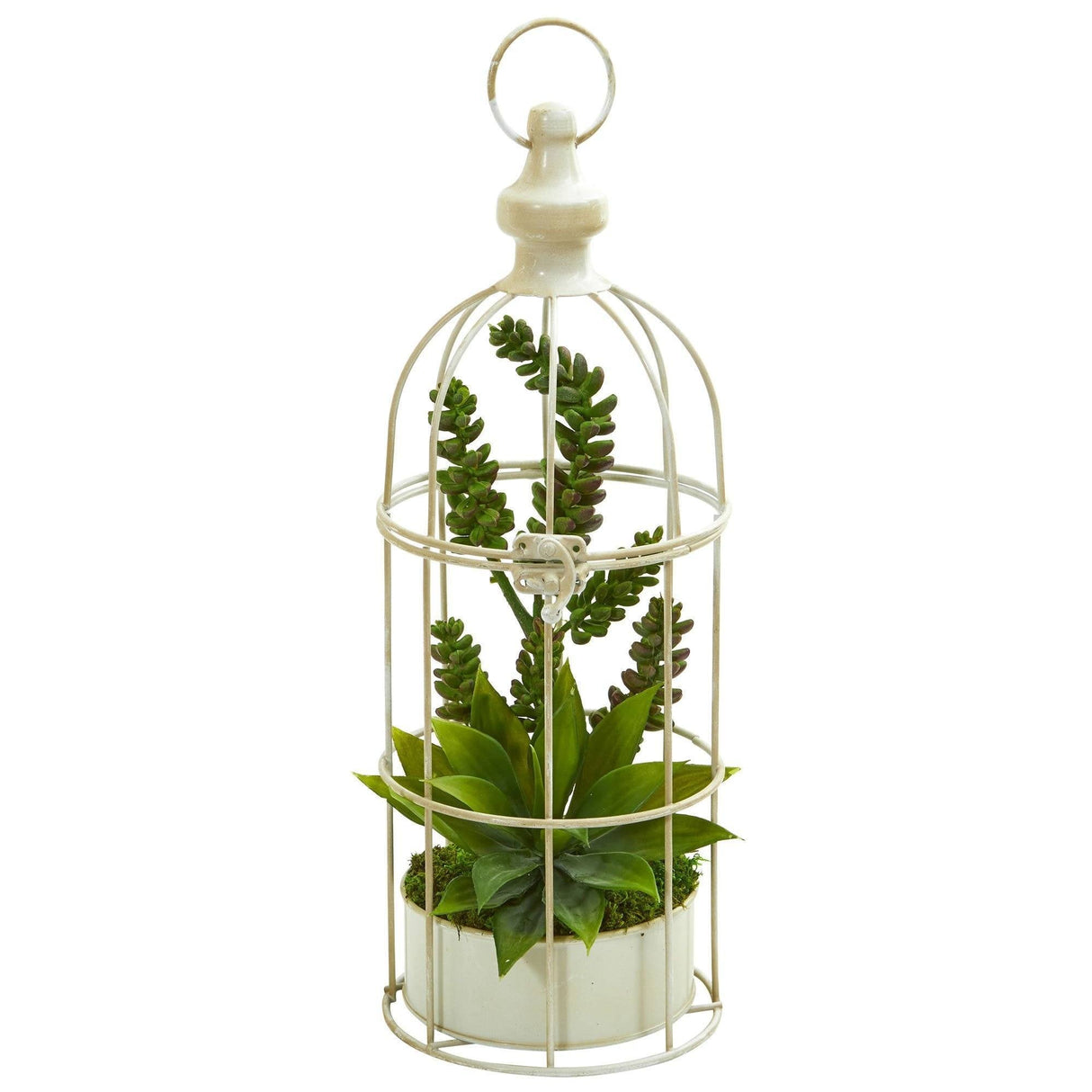 Succulent Garden Artificial Plant in Birdcage-Parc Decor