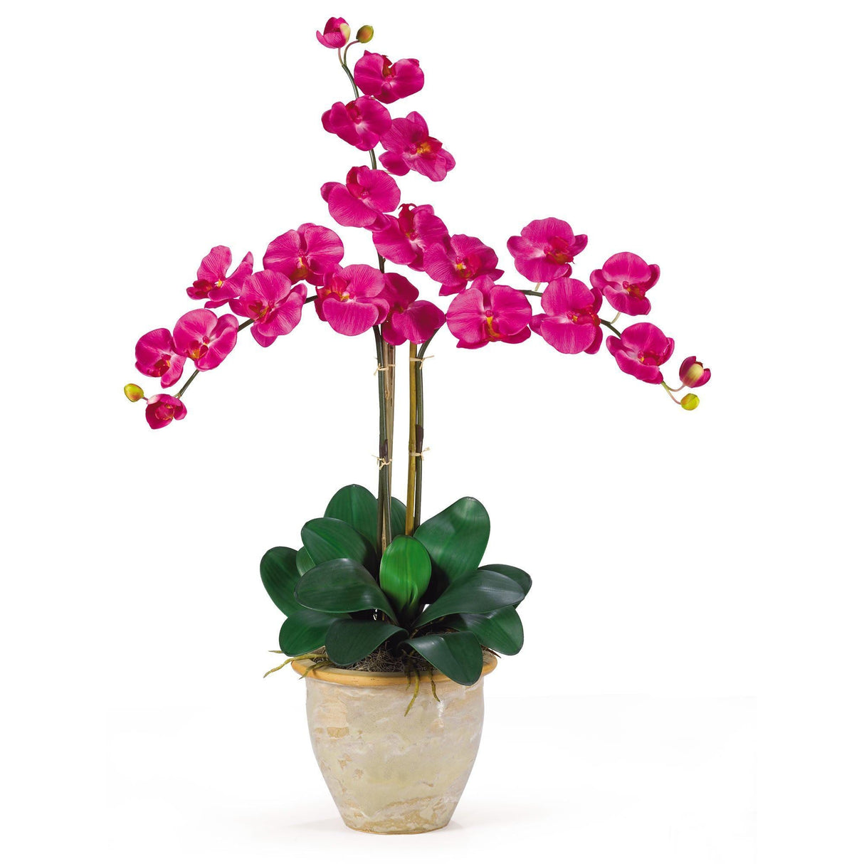 Triple Stem Phalaenopsis Silk Orchid Arrangement-Parc Decor