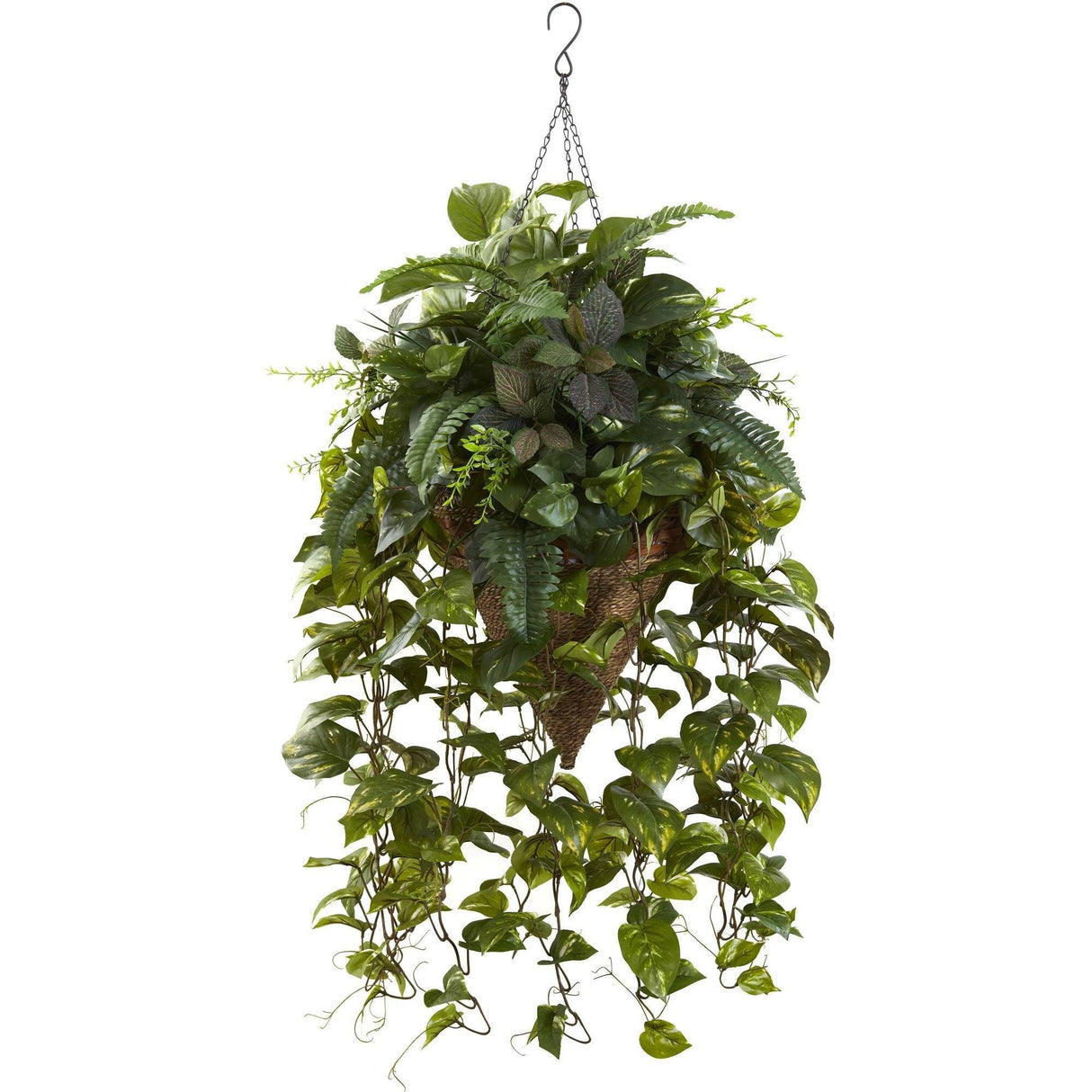 Vining Mixed Greens w/Cone Hanging Basket-Parc Decor