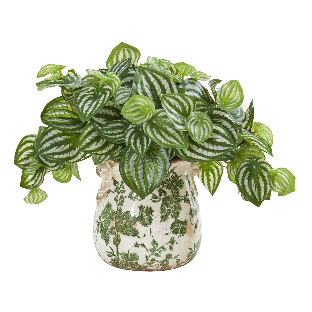 Watermelon Peperomia Artificial Plant in Vase (Real Touch)-Parc Decor