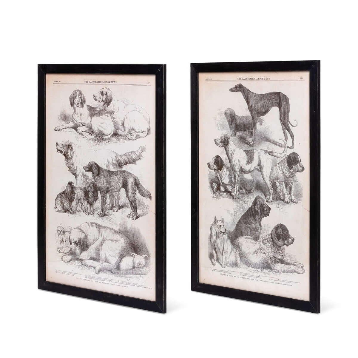 Antique Dog Art Prints in Black Wood Frames (Set of 2)-Wall Art-Parc Decor