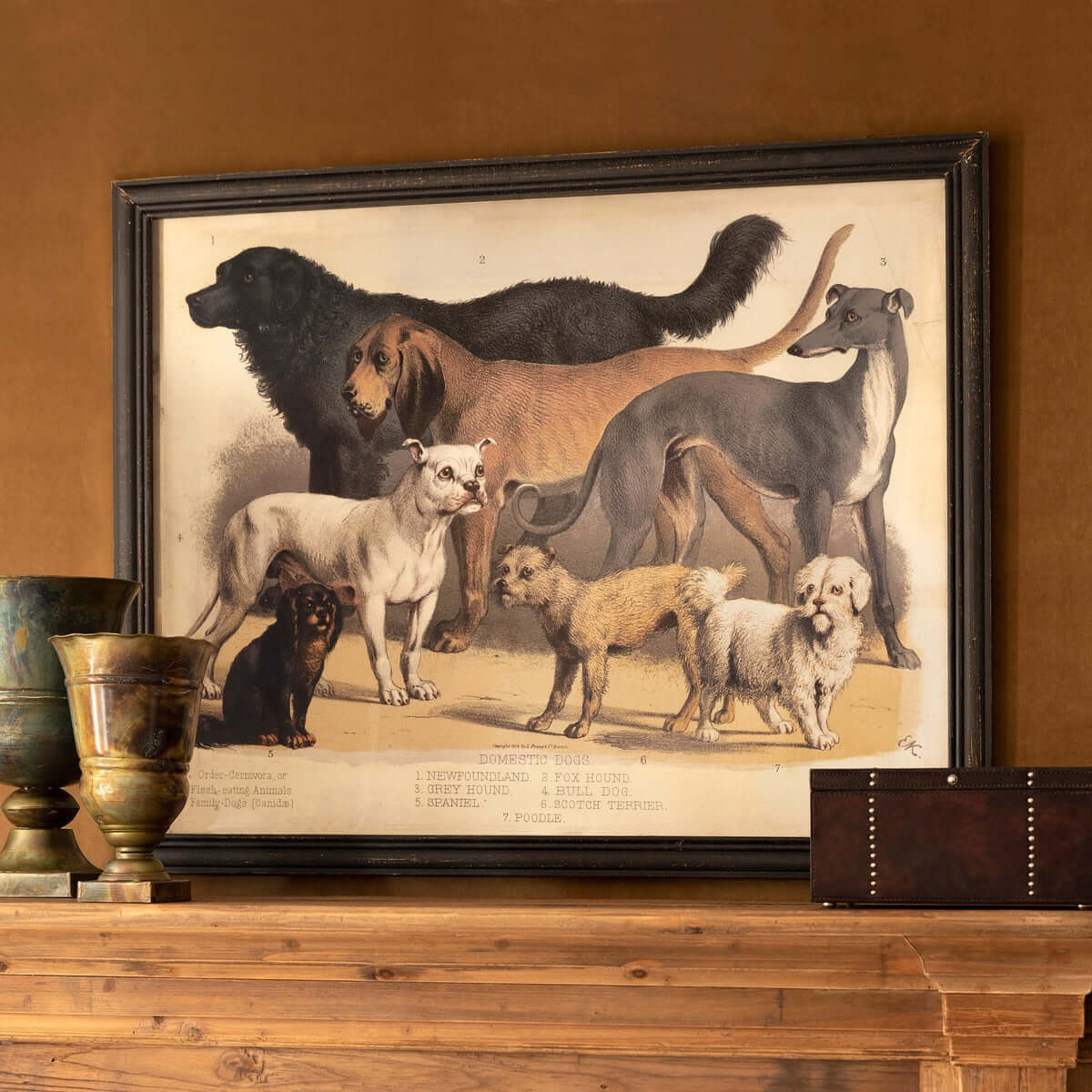 Antique Dog Breed Print in Black Frame-Wall Art-Parc Decor