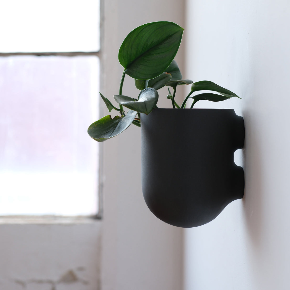 Bender Wall Planter-Pots & Planters-Parc Decor