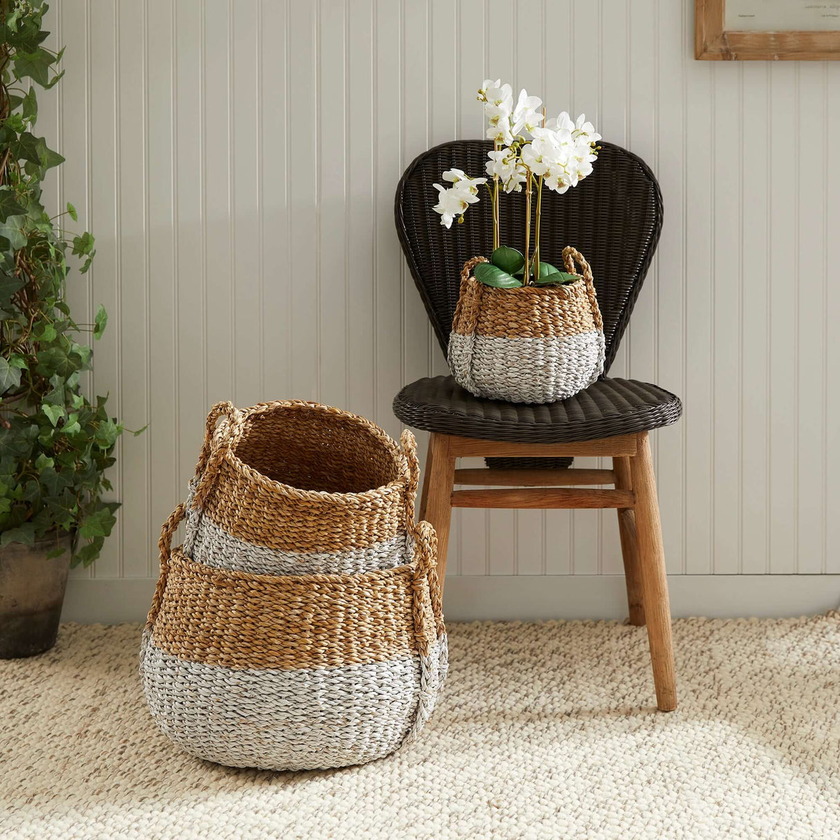 Boho Coastal Storage Baskets with Handles (Set of 3)-Storage Baskets-Parc Decor