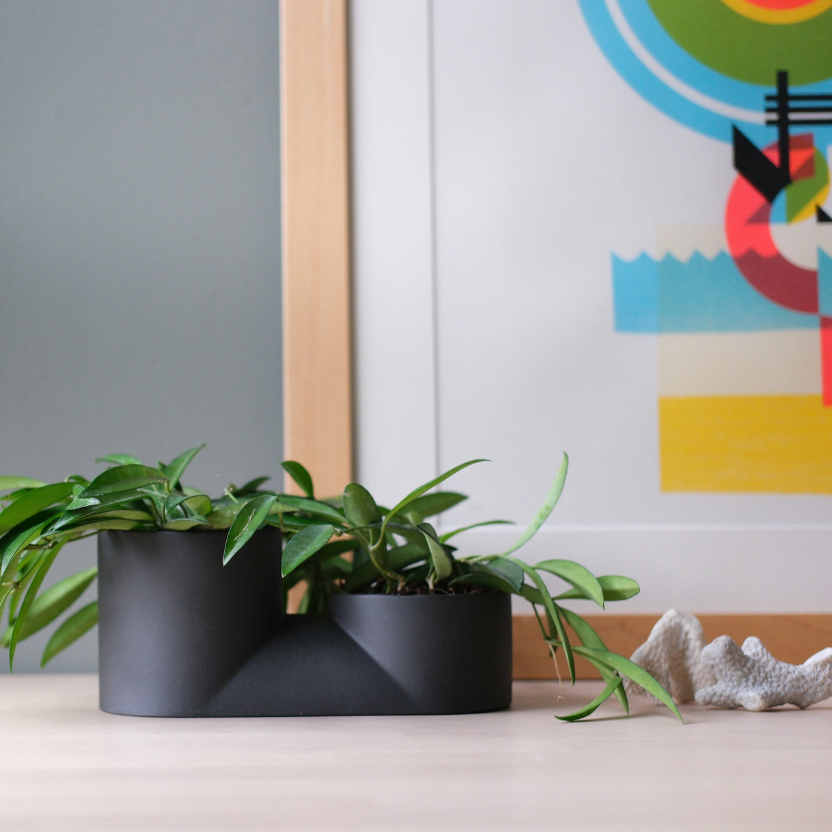 Double Planter