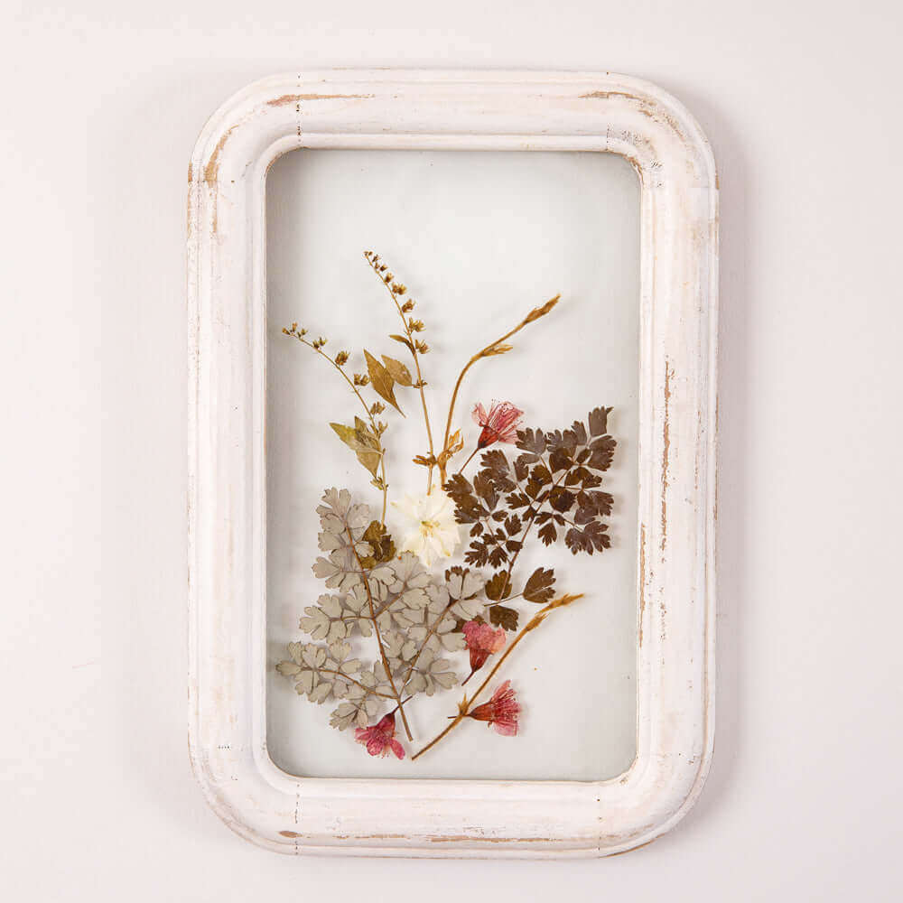 Dried Flowers in Distressed White Wood Frame-Wall Decor-Parc Decor