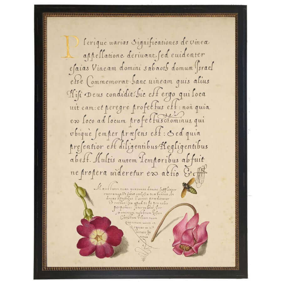 Flowers and Calligraphy 1500s Bookplate Reproduction Print in Black Beaded Frame-Art-Parc Decor