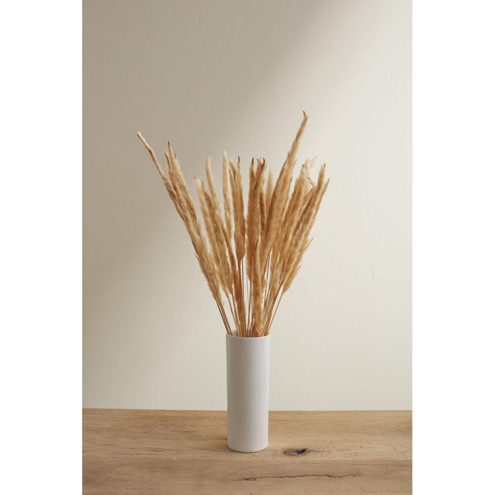 Fluffy Dried Pampas Grass