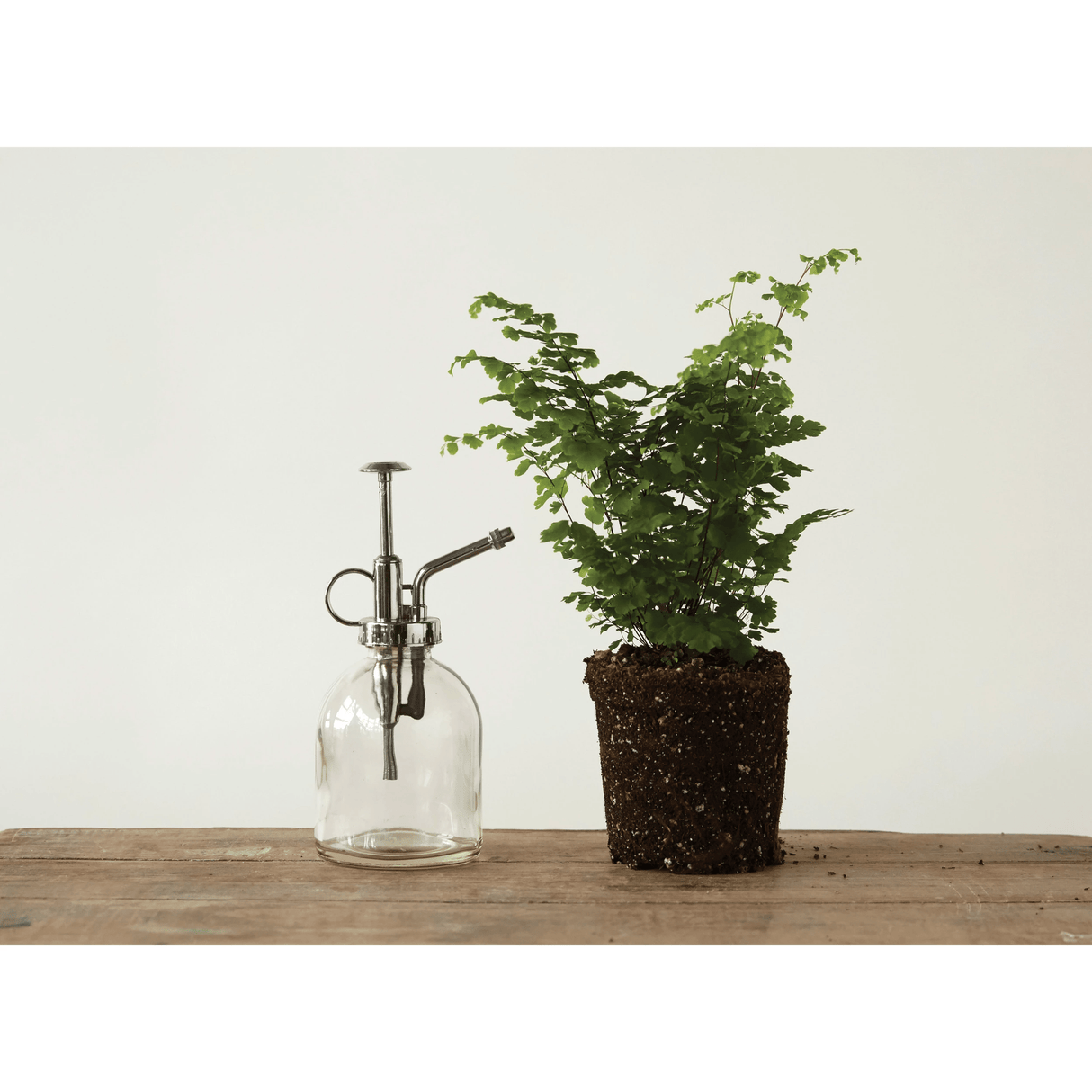 Glass Plant Mister with Silver Pump-Planters-Parc Decor