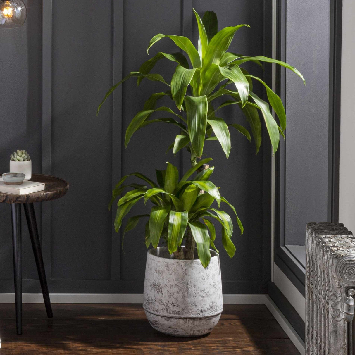 Janamuato White Geometric Cement Planter-Decor-Parc Decor