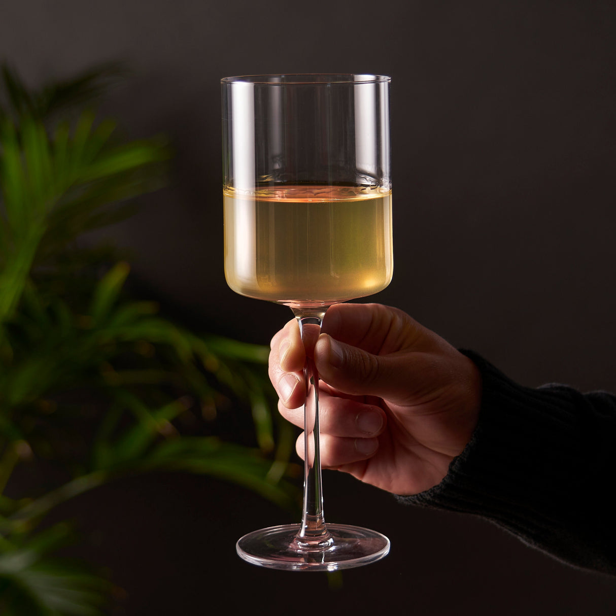 Laurel Crystal White Wine Glasses Set of 2-product_type::stemmed_wine_glasses-Parc Decor