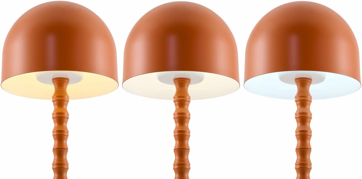 Magdagachi Orange Table Lamp-Lighting-Parc Decor