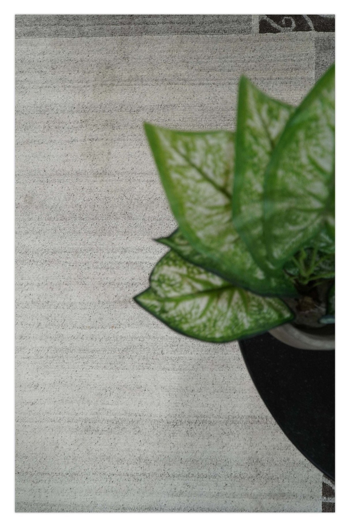Modern Style 4.7x6.5 Brown and Silver Wool Hand Woven Area Rug