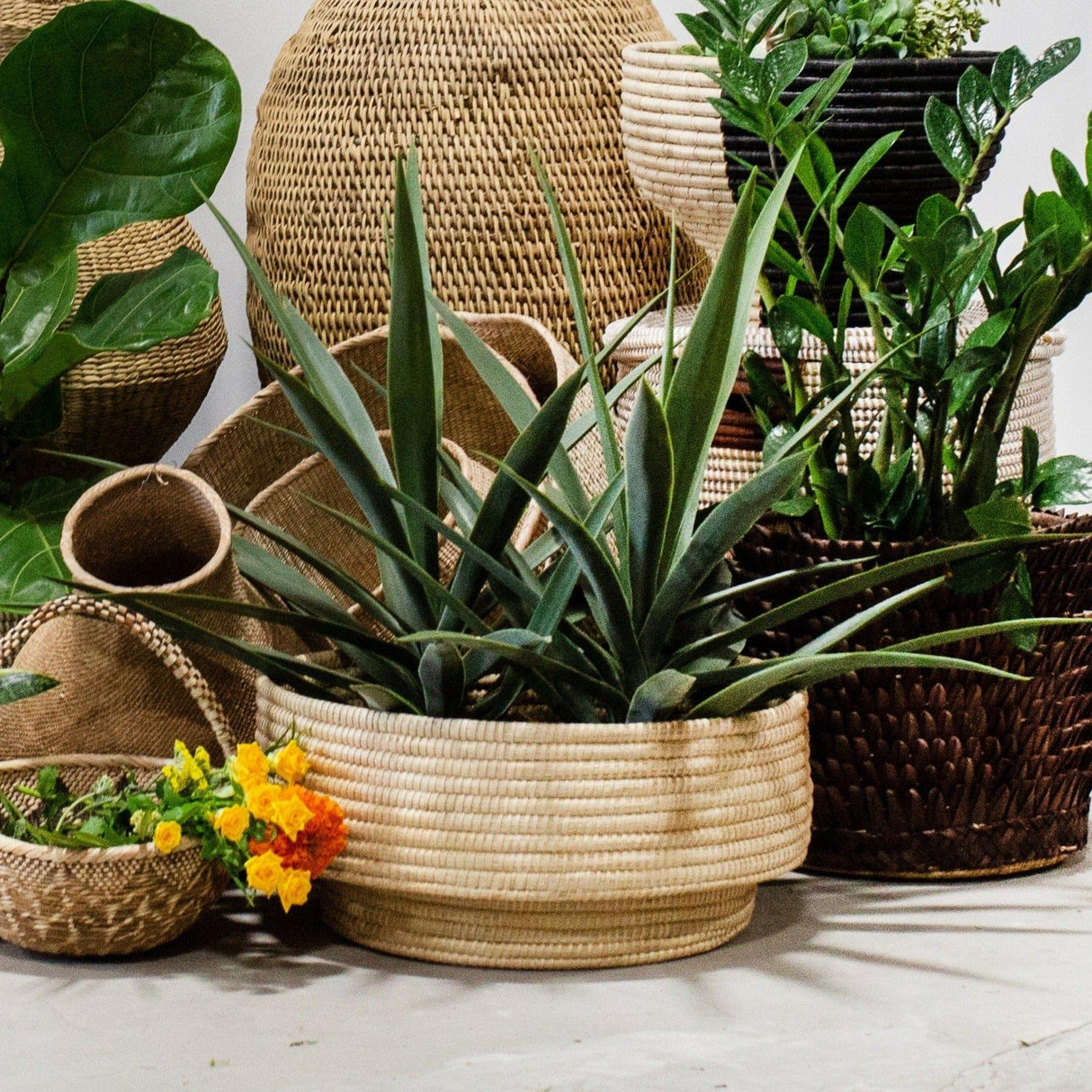 Natural Woven Dengu Basket-Baskets-Parc Decor