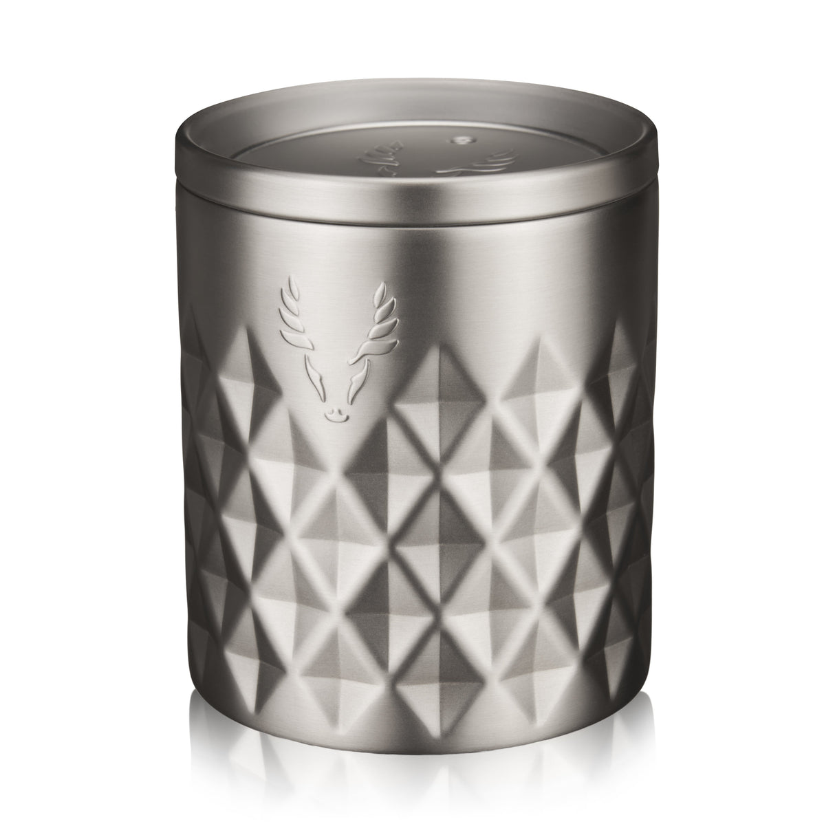 Paragon Stainless Steel Rocks Tumbler in Platinum