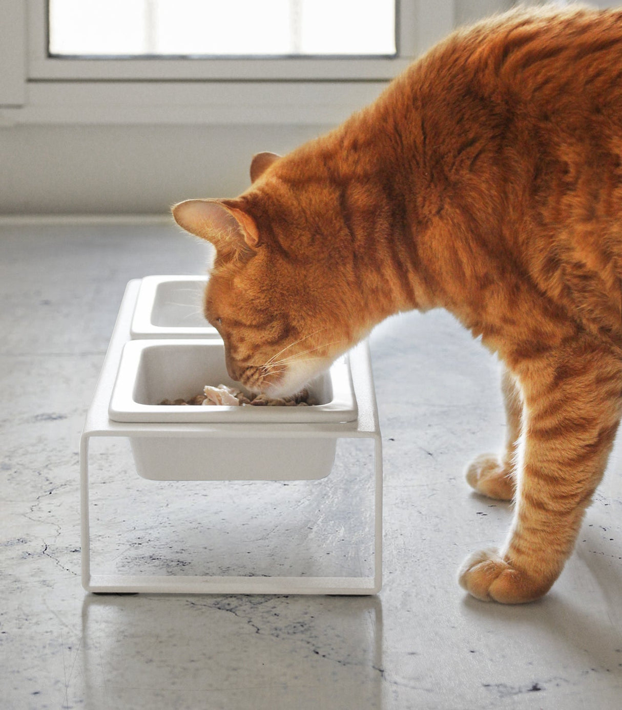 Pet Food Bowl - Tall - Steel + Ceramic-Pets-Parc Decor