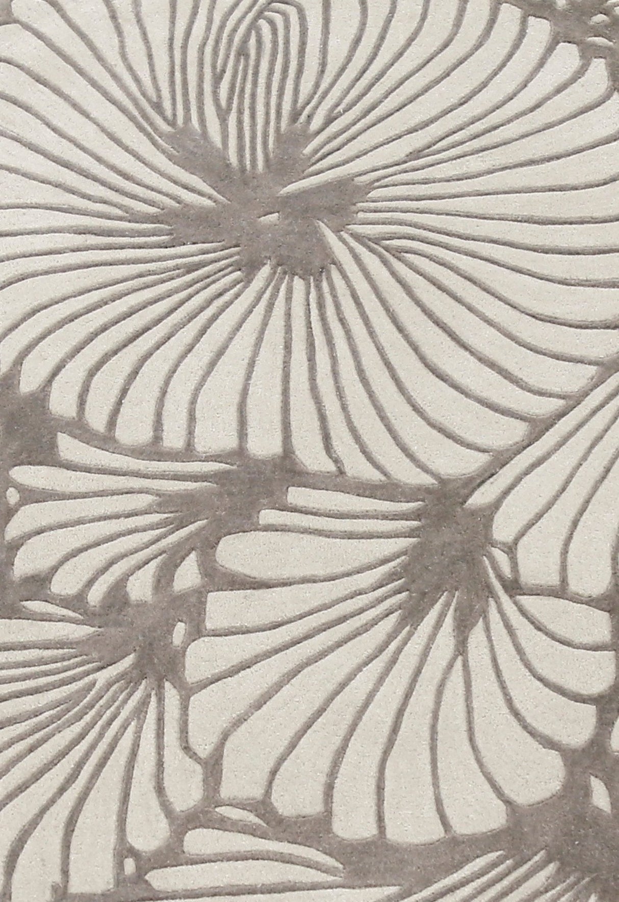 Petals Modern Floral Lace Beige Hand Tufted 5x7 Wool Rug