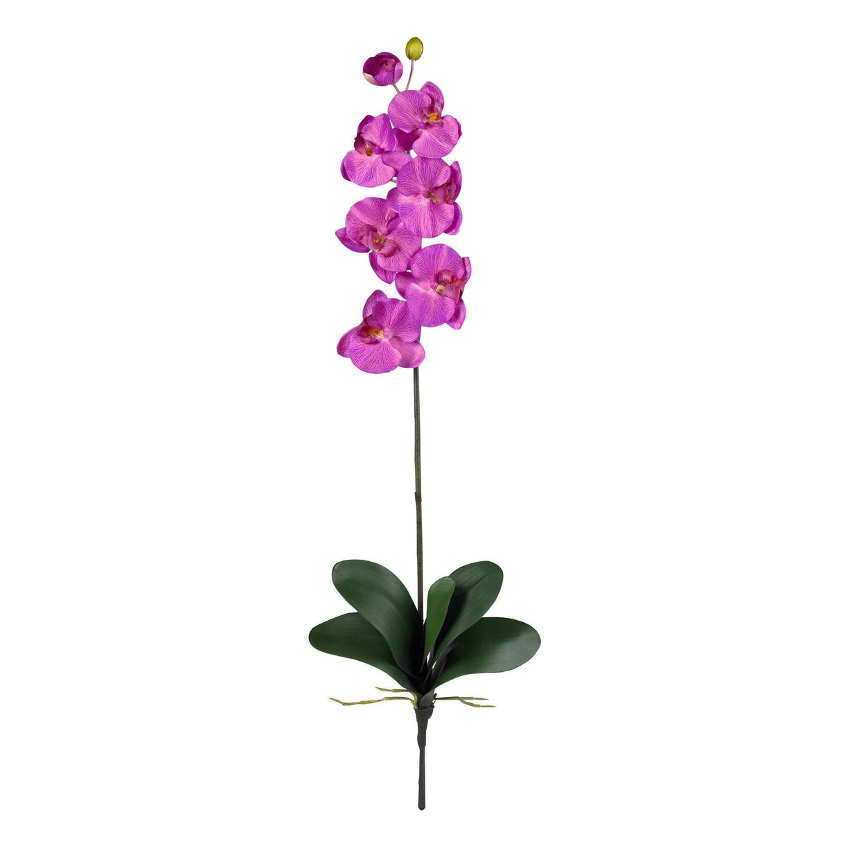 Phalaenopsis Stem (Set of 12)-Stem-Parc Decor