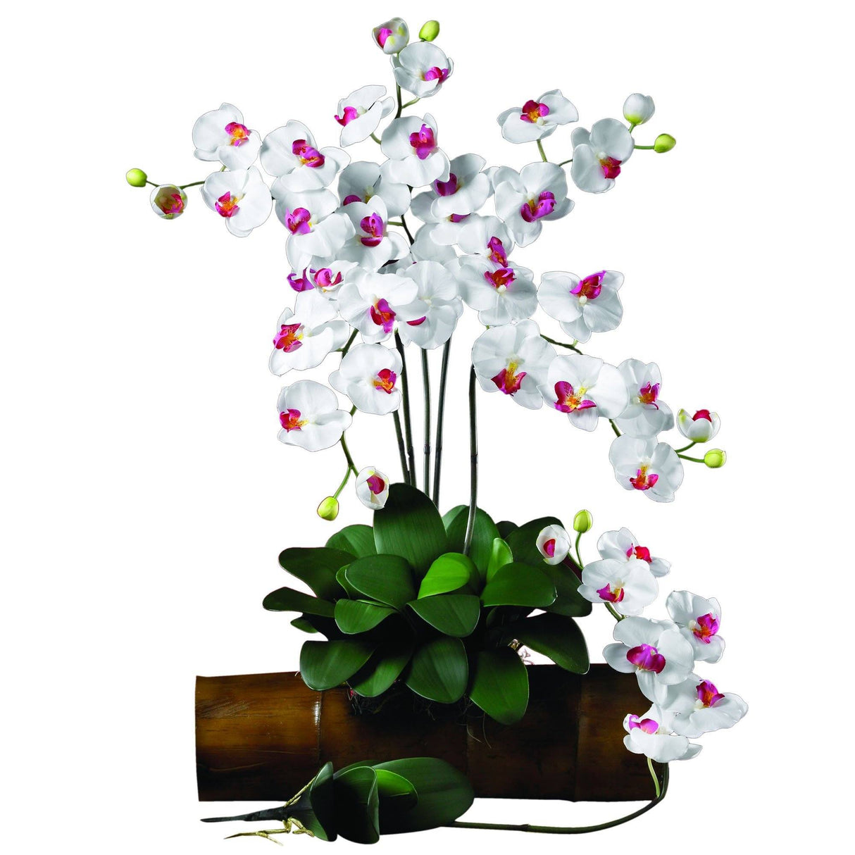 Phalaenopsis Stem (Set of 12)-Stem-Parc Decor
