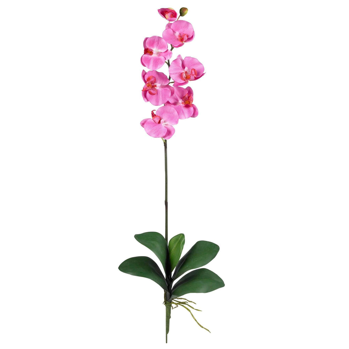 Phalaenopsis Stem (Set of 12)-Stem-Parc Decor