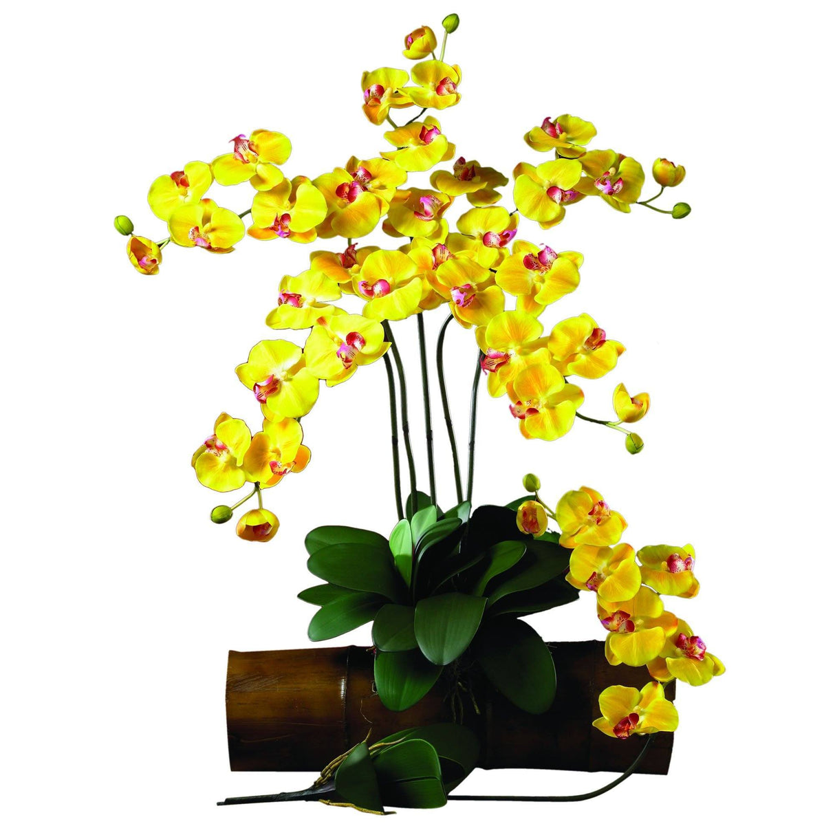Phalaenopsis Stem (Set of 12)-Stem-Parc Decor