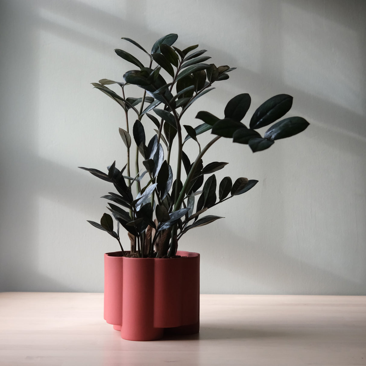 Pillar Planter