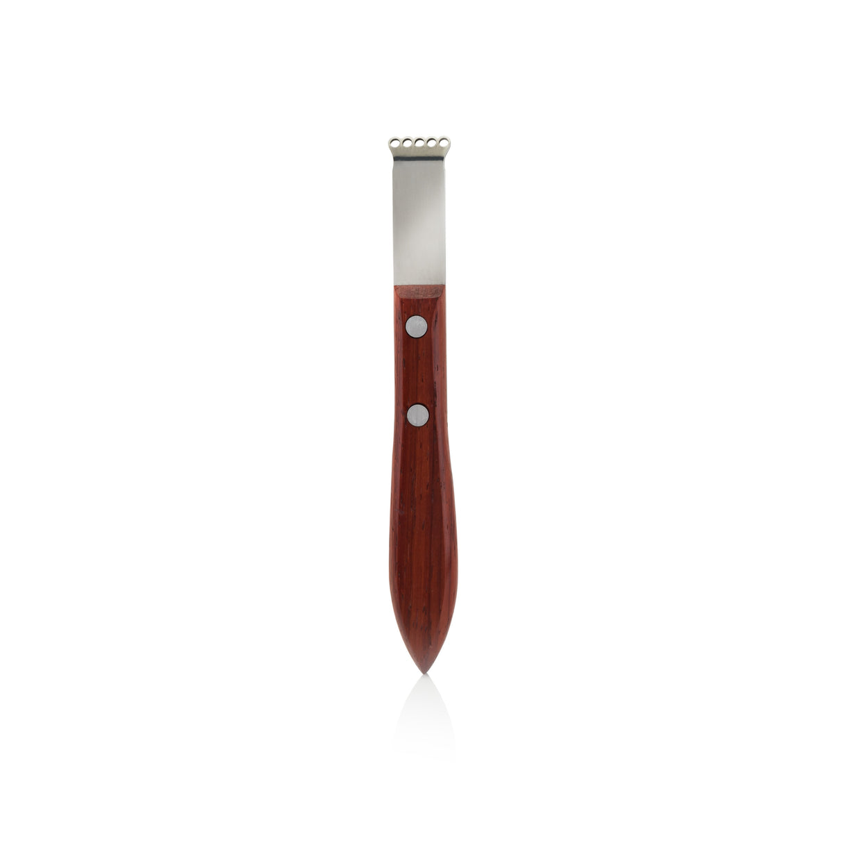 Professional Citrus Zester with Acacia Wood Handle