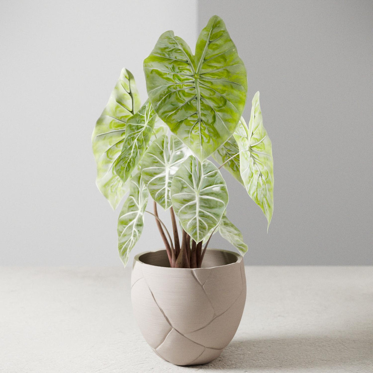 QUAKE Planter-Planter-Parc Decor