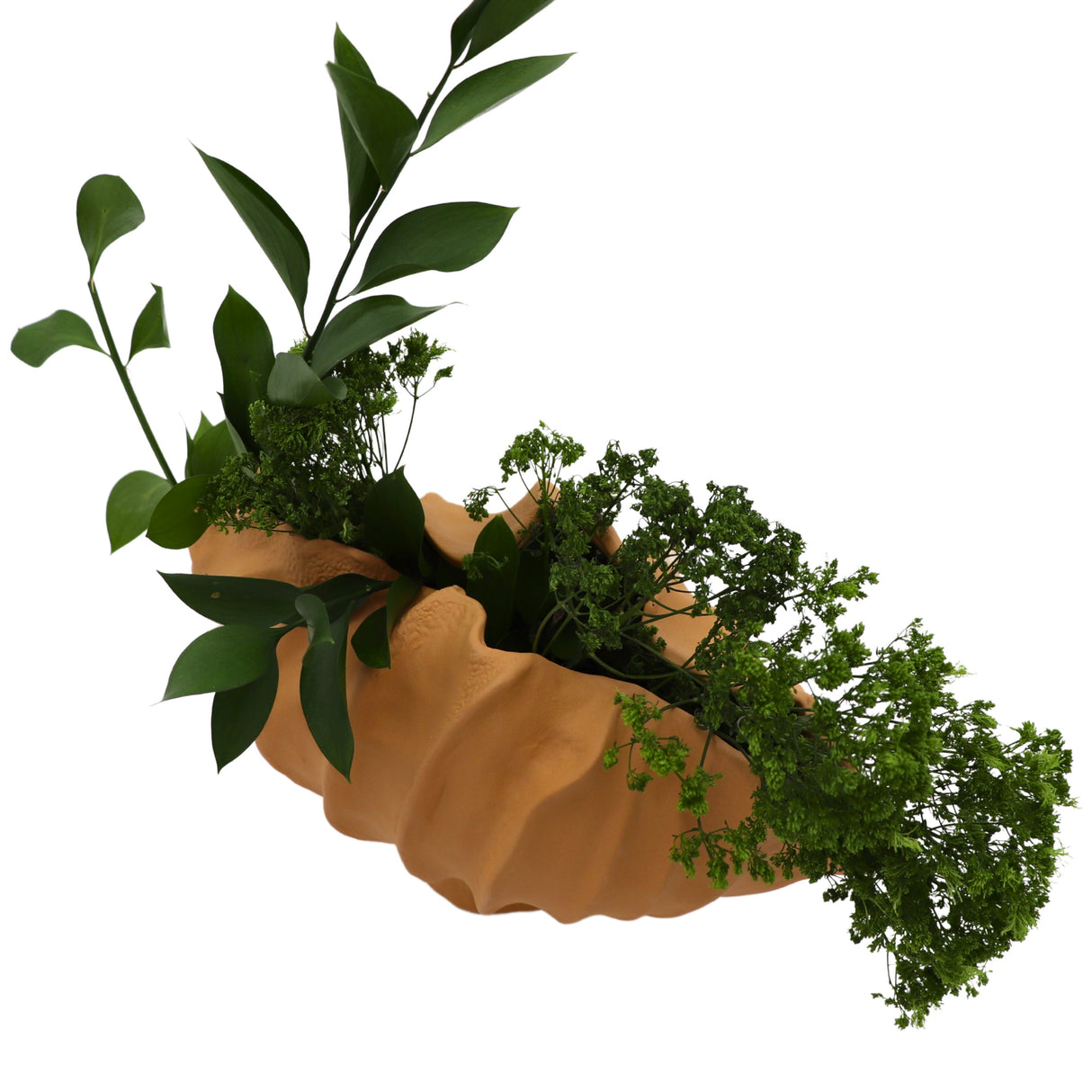 Sirene Shell Vase-Decorative vase-Parc Decor