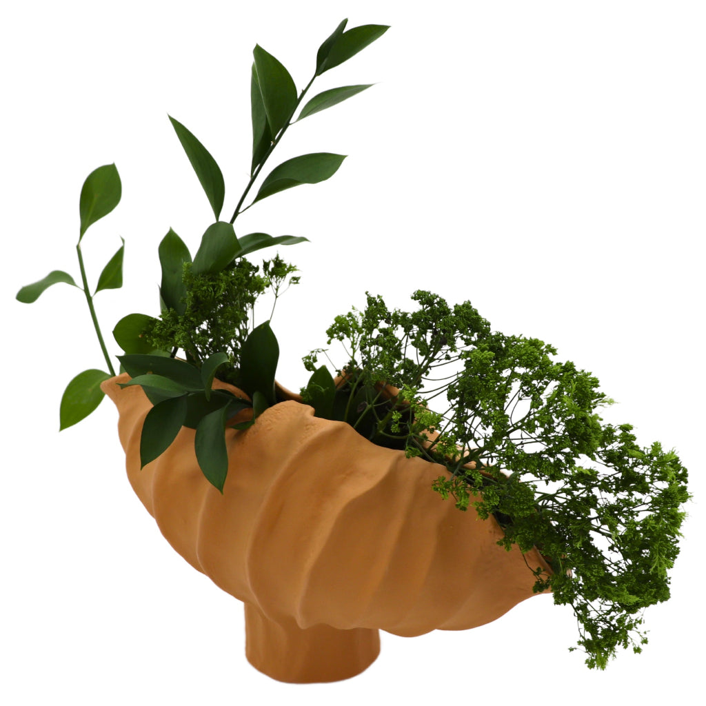 Sirene Shell Vase