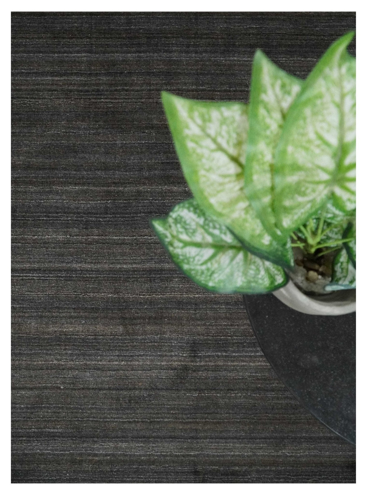 Solid Shaded Charcoal 5x7 Blended Wool Hand Woven Area Rug