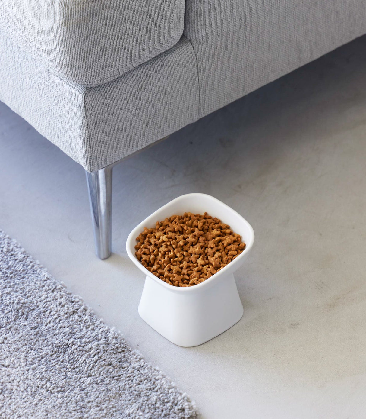 Tilted Pet Food Bowl-Pets-Parc Decor