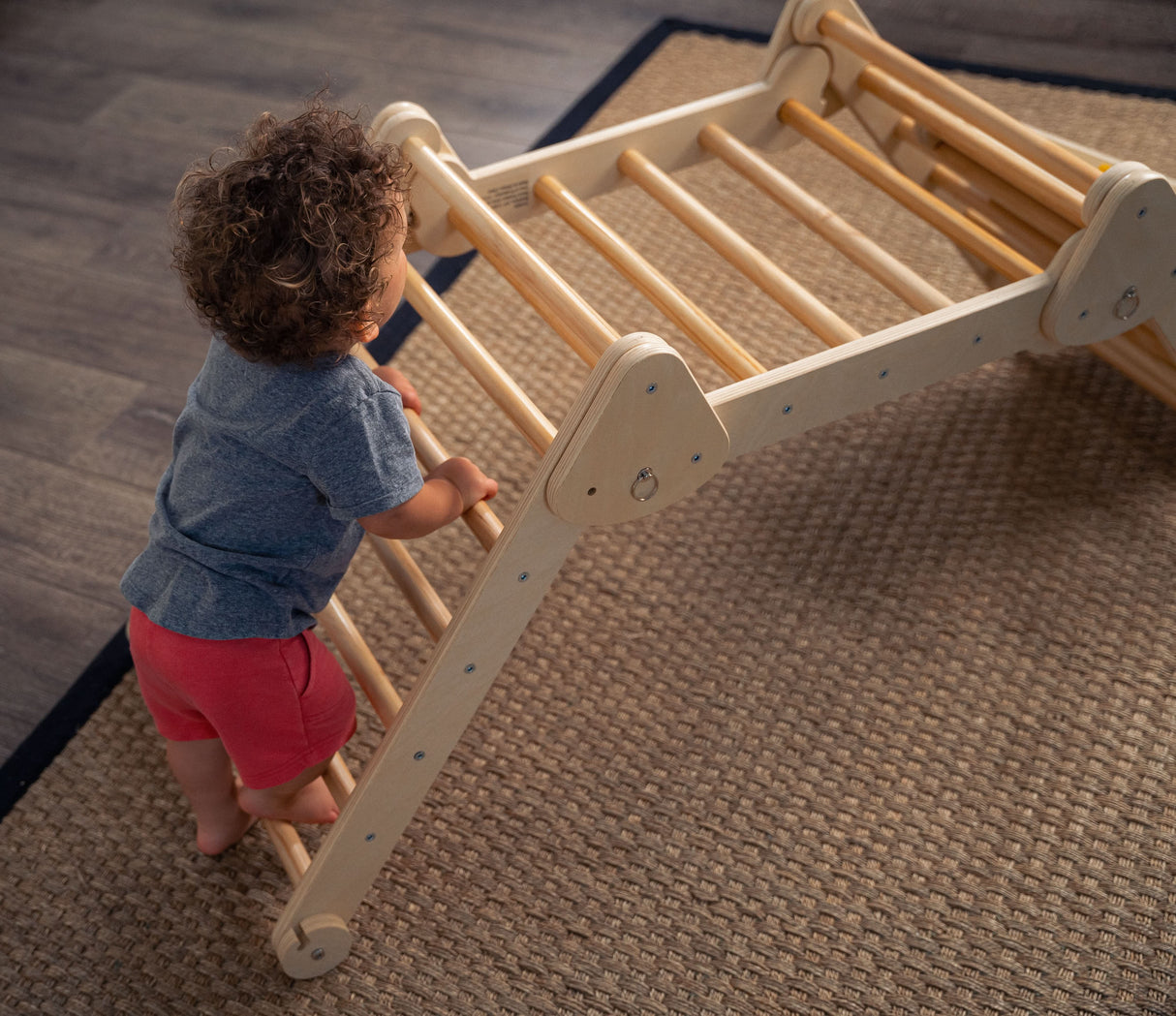 Vicus - Triangle Ladder with Ramp